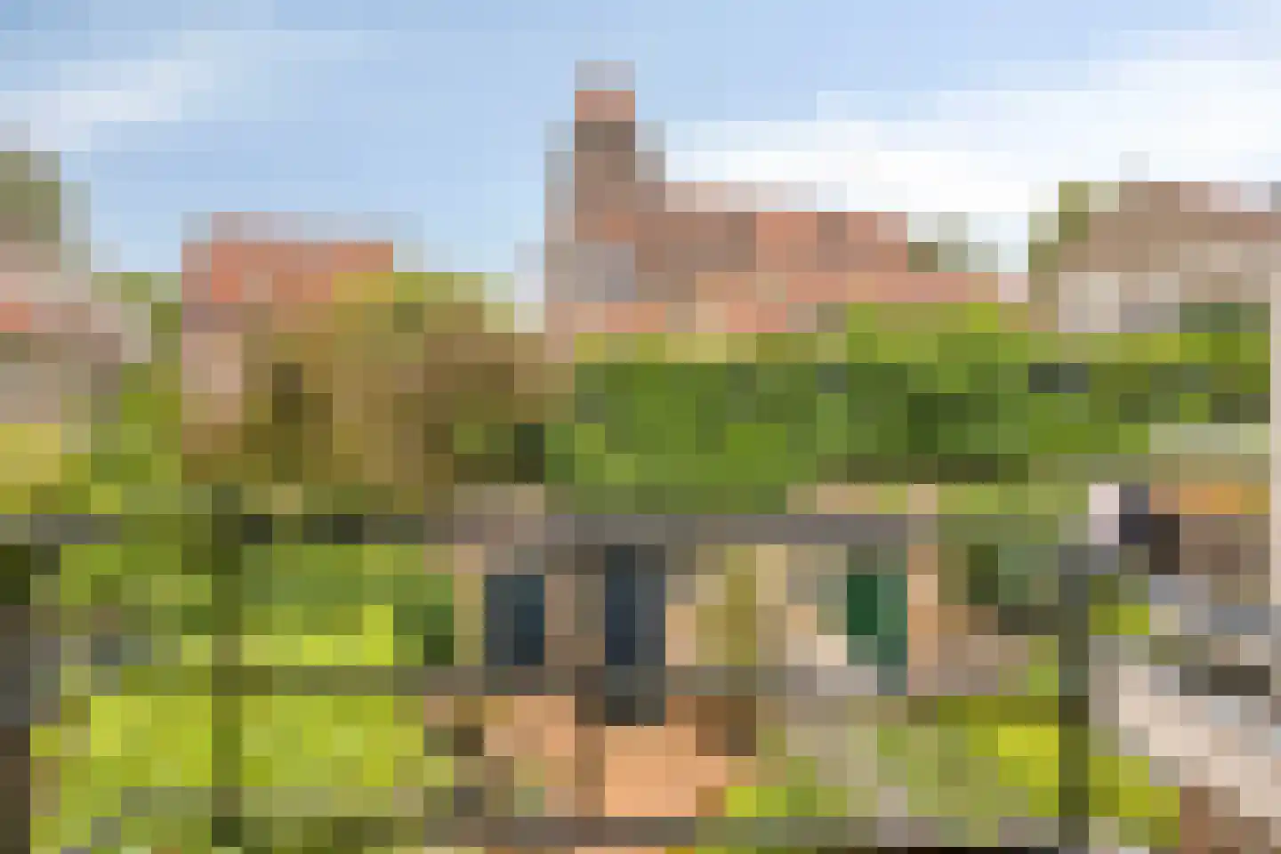 Frans Halslaan 83 Arnhem thumbnail 45