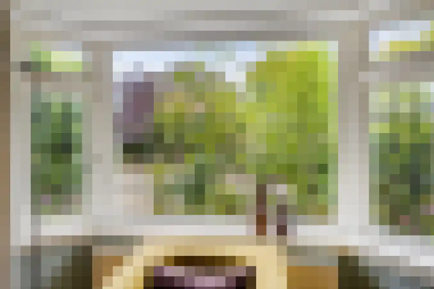Frans Halslaan 83 Arnhem thumbnail 7