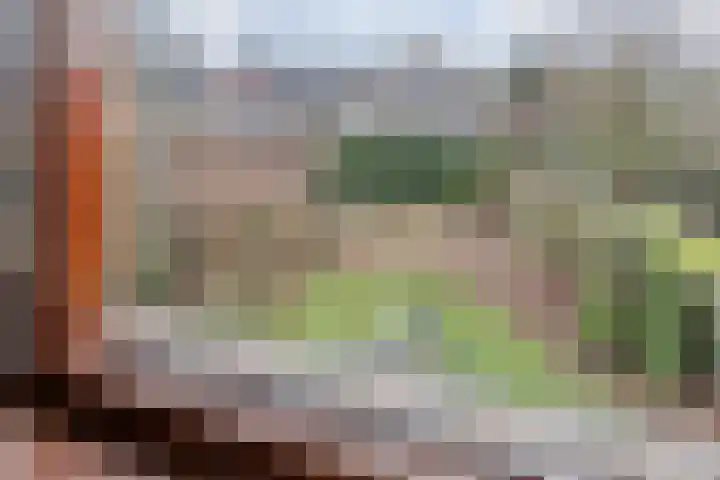 Frans Halslaan 88 Oosterhout thumbnail 30