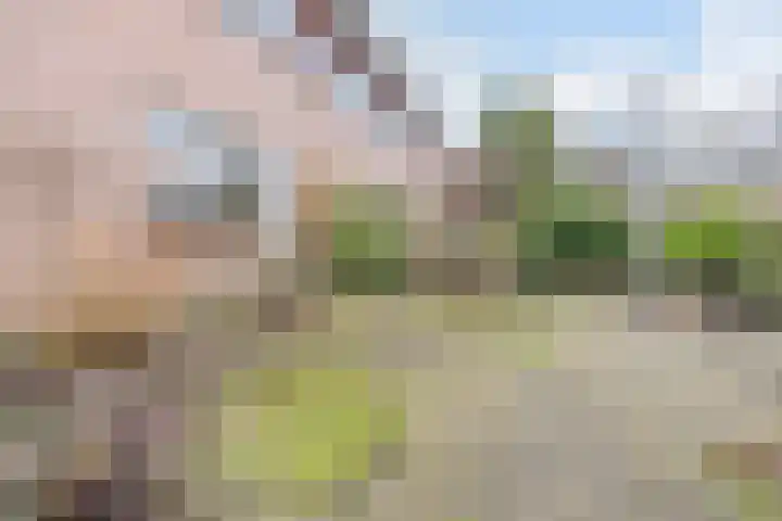 Frans Halslaan 88 Oosterhout thumbnail 31