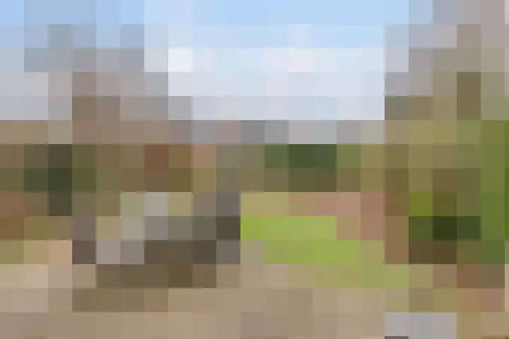 Frans Halslaan 88 Oosterhout thumbnail 32