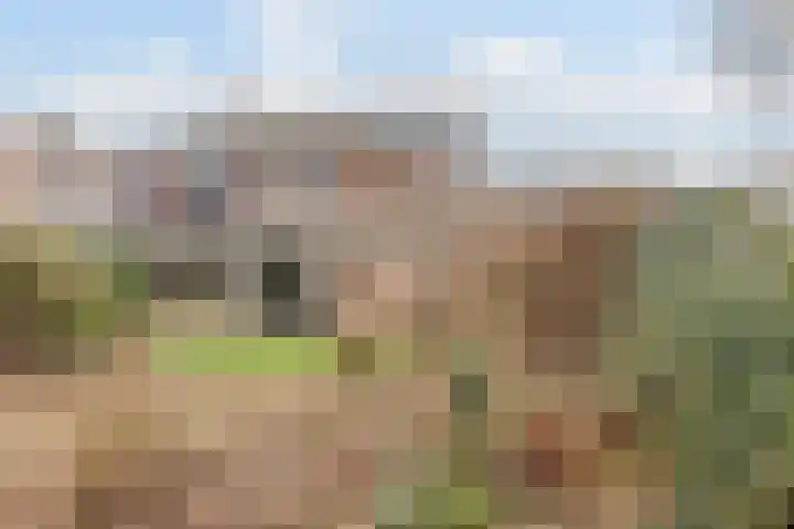 Frans Halslaan 88 Oosterhout thumbnail 33