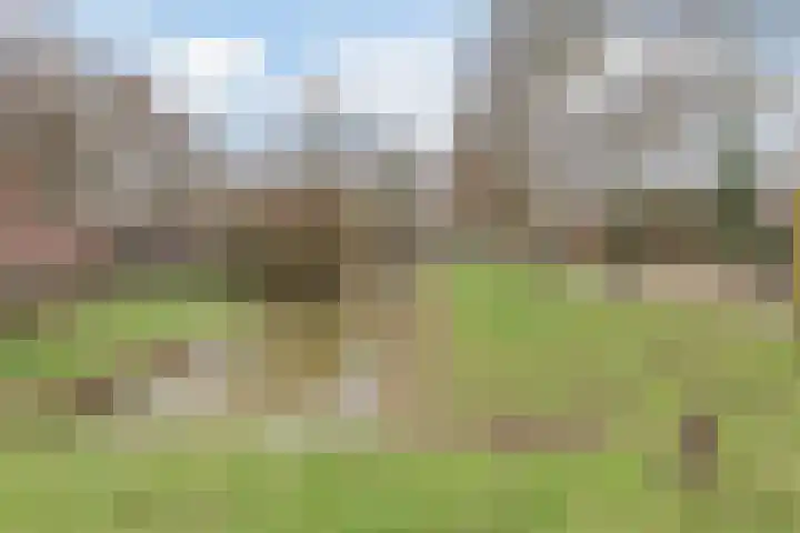 Frans Halslaan 88 Oosterhout thumbnail 40
