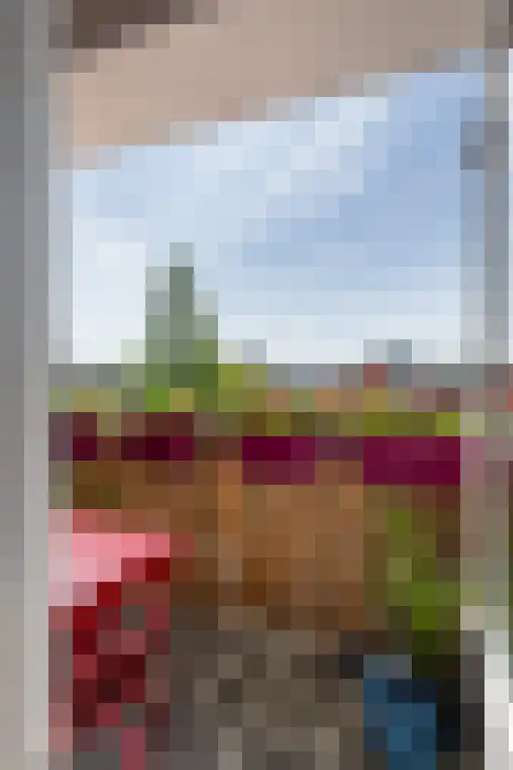 Frans Halslaan 9 A Maassluis thumbnail 19