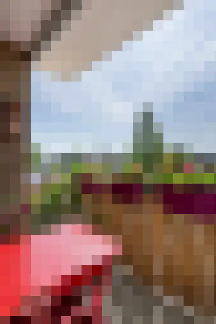 Frans Halslaan 9 A Maassluis thumbnail 20