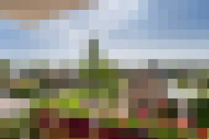 Frans Halslaan 9 A Maassluis thumbnail 21