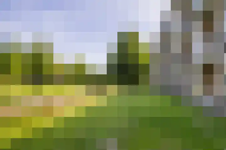 Frans Halslaan 9 A Maassluis thumbnail 26