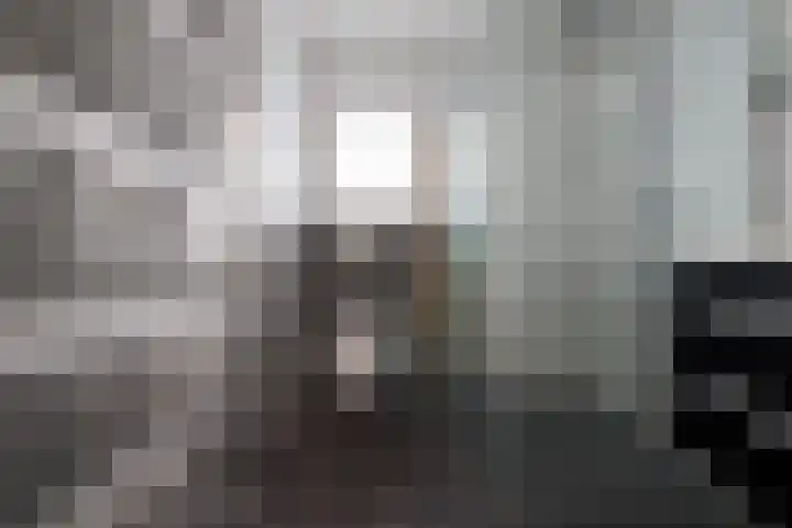 Frans Halslaan 9 Baarn thumbnail 27