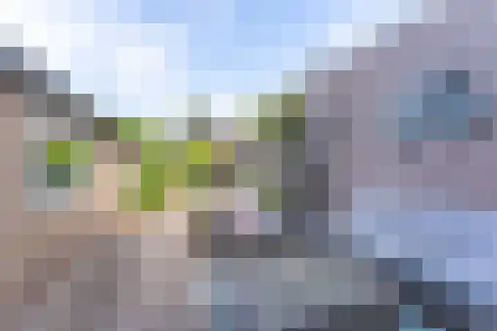 Frans Halslaan 9 Baarn thumbnail 32