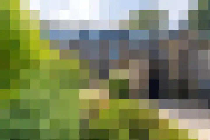 Frans Halslaan 9 Baarn thumbnail 34