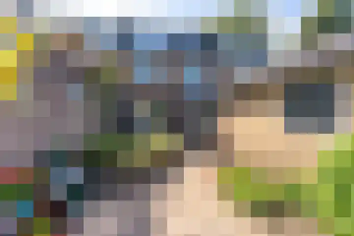 Frans Halslaan 9 Baarn thumbnail 36