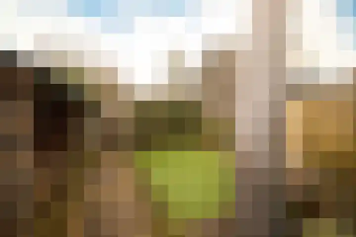 Frans Halslaan 9 Baarn thumbnail 39
