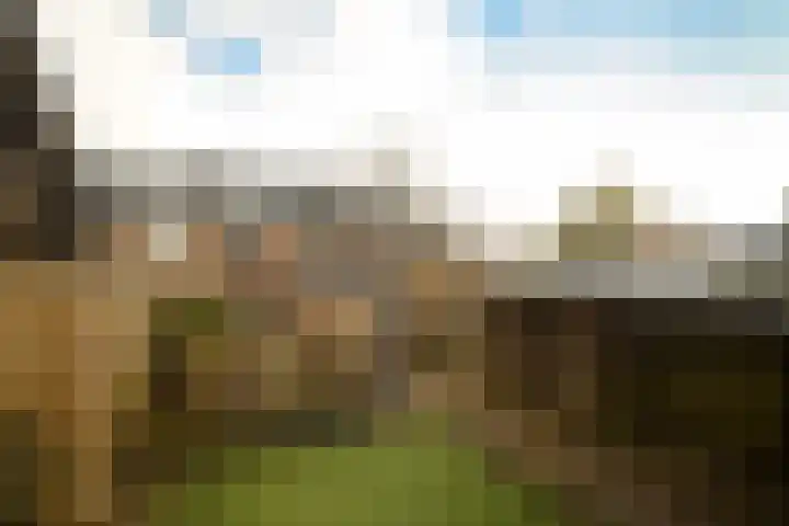 Frans Halslaan 9 Baarn thumbnail 41