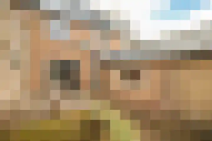 Frans Halslaan 9 Baarn thumbnail 43
