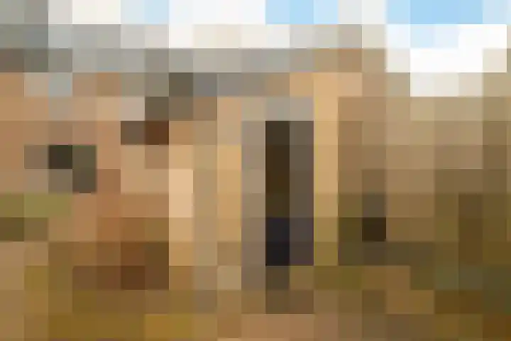 Frans Halslaan 9 Baarn thumbnail 44