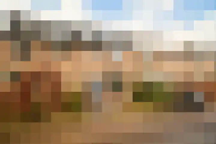 Frans Halslaan 9 Baarn thumbnail 47