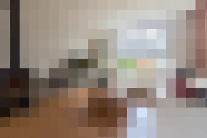 Frans Halslaan 9 Baarn thumbnail 6