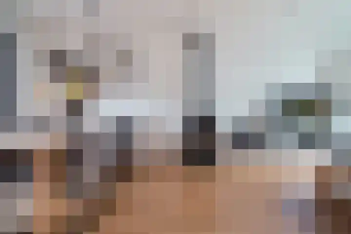 Frans Halslaan 9 Baarn thumbnail 7