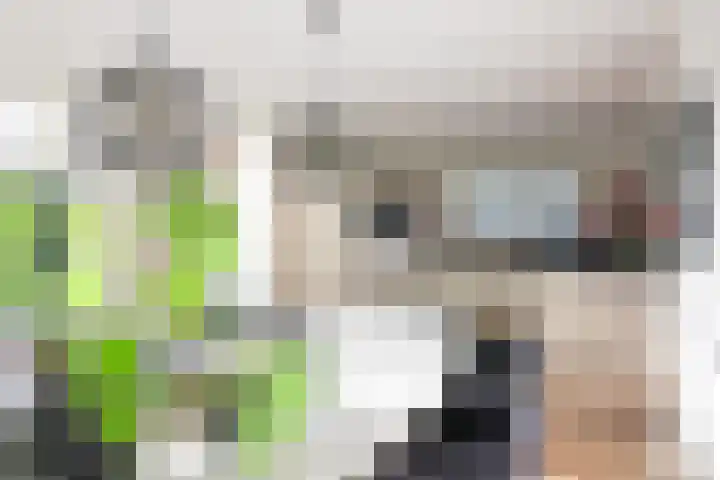 Frans Halslaan 9 Huizen thumbnail 10