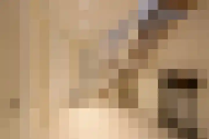 Frans Halslaan 9 Huizen thumbnail 11