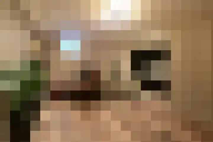 Frans Halslaan 9 Huizen thumbnail 12