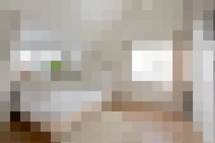 Frans Halslaan 9 Huizen thumbnail 15