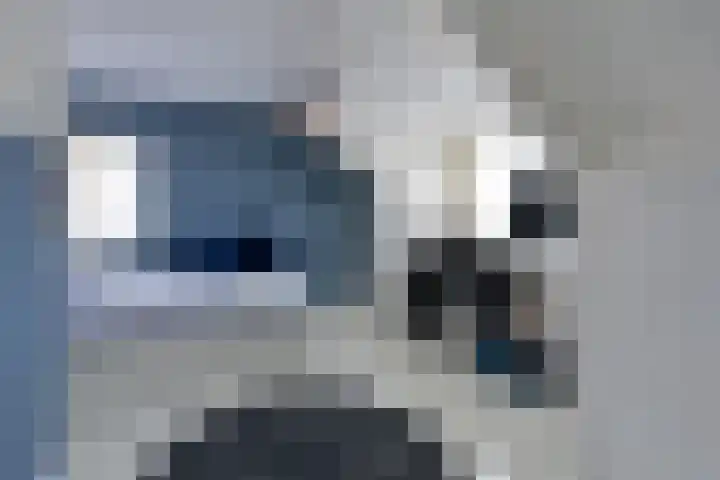 Frans Halslaan 9 Huizen thumbnail 17
