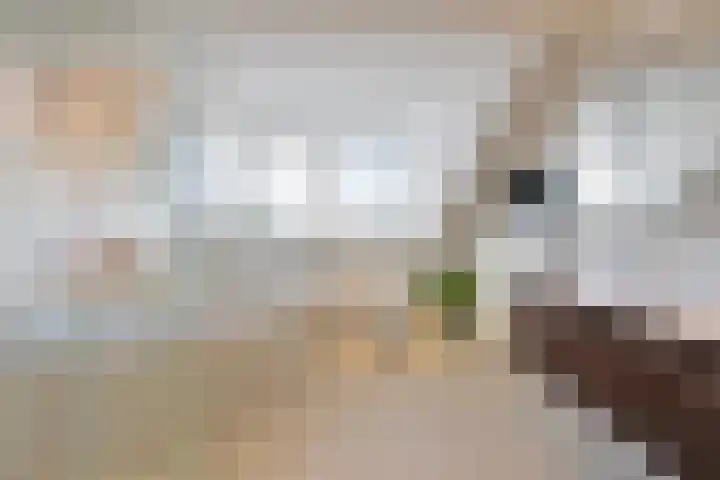 Frans Halslaan 9 Huizen thumbnail 18
