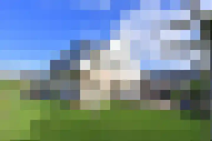 Frans Halslaan 9 Huizen thumbnail 19