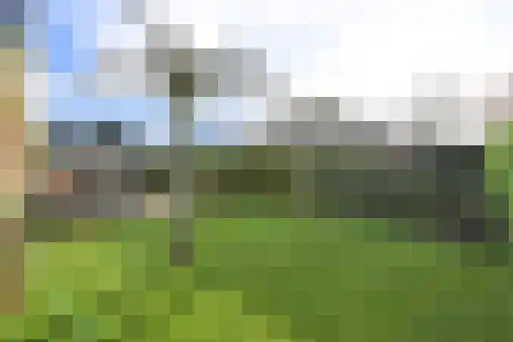 Frans Halslaan 9 Huizen thumbnail 20
