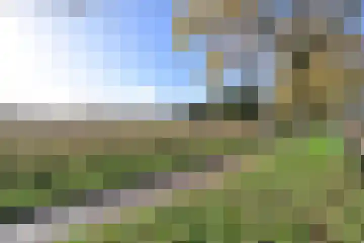 Frans Halslaan 9 Huizen thumbnail 23