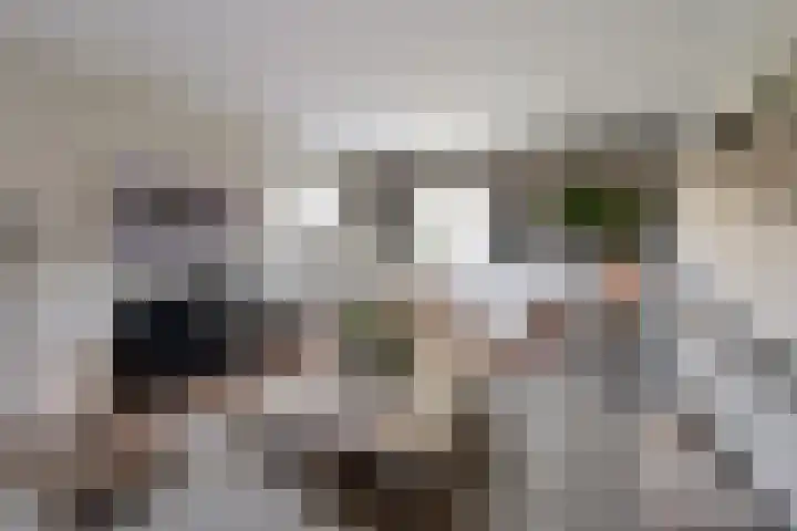 Frans Halslaan 9 Huizen thumbnail 4