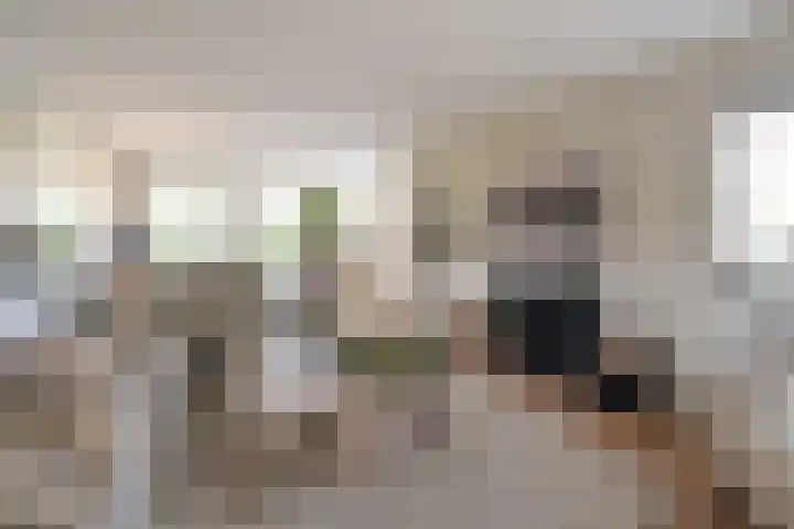 Frans Halslaan 9 Huizen thumbnail 5