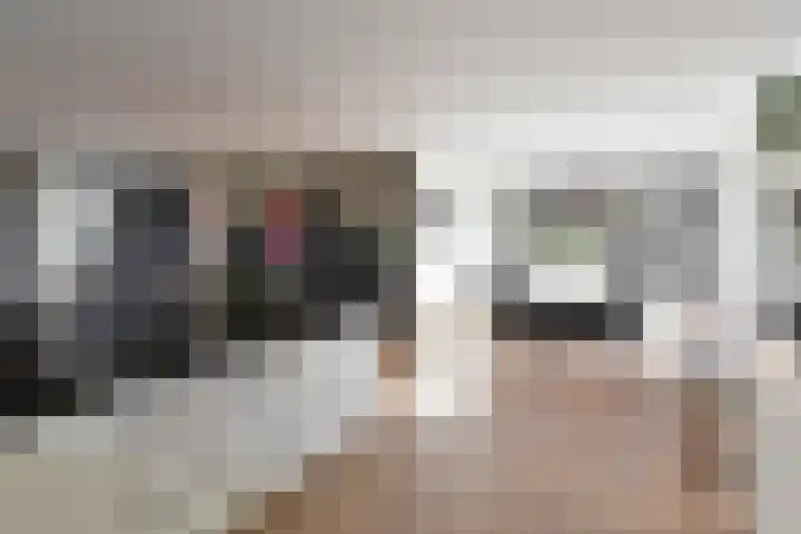 Frans Halslaan 9 Huizen thumbnail 8