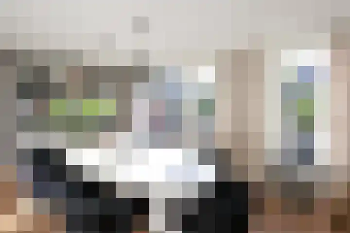 Frans Halslaan 9 Huizen thumbnail 9