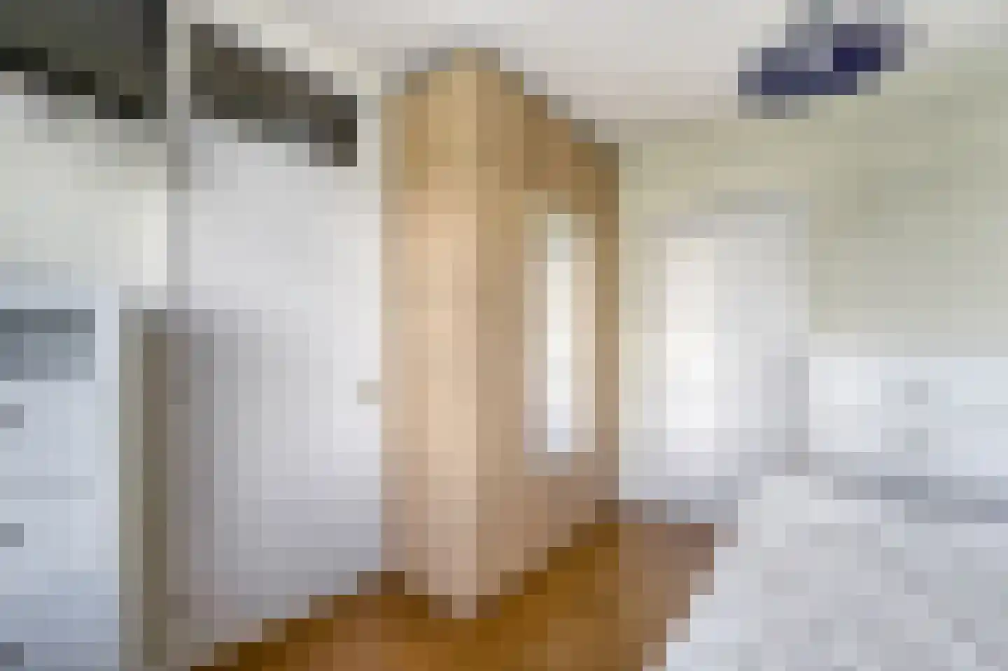 Frans Halsplantsoen 103 Voorschoten thumbnail 26