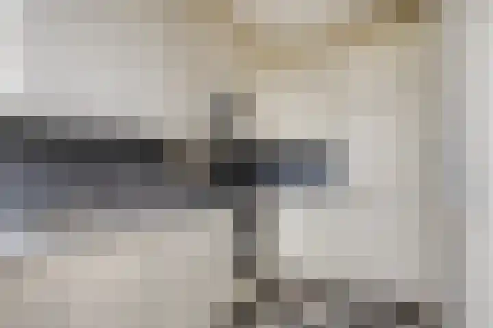 Frans Halsplantsoen 13 Voorschoten thumbnail 10