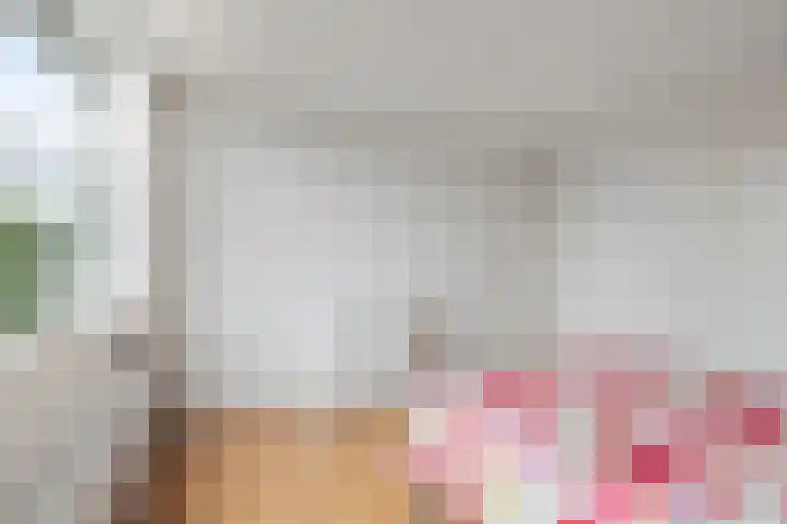 Frans Halsplantsoen 13 Voorschoten thumbnail 14