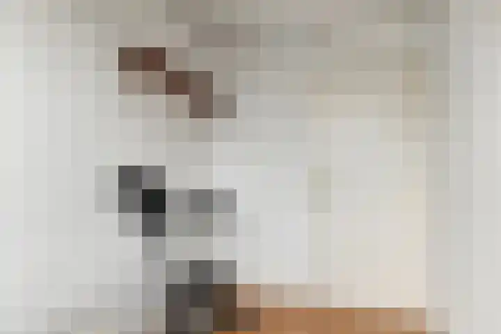Frans Halsplantsoen 13 Voorschoten thumbnail 16