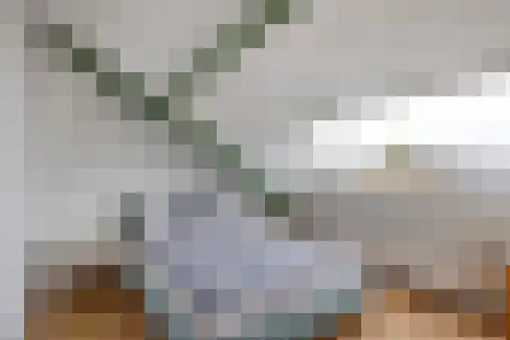 Frans Halsplantsoen 13 Voorschoten thumbnail 25