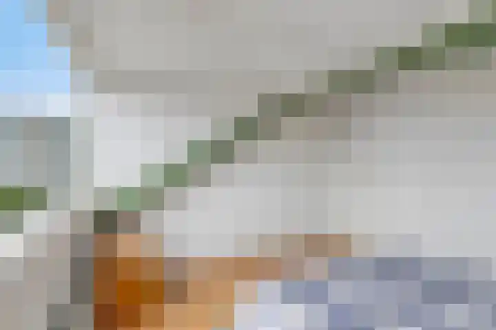Frans Halsplantsoen 13 Voorschoten thumbnail 26