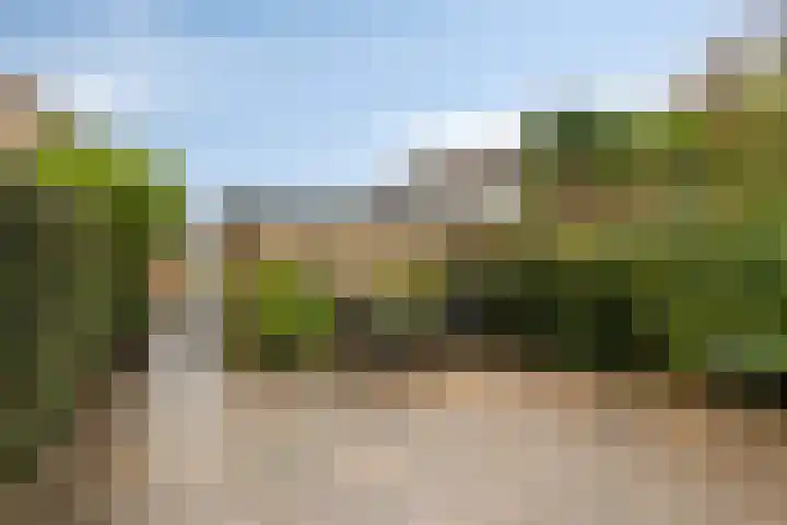 Frans Halsplantsoen 13 Voorschoten thumbnail 28