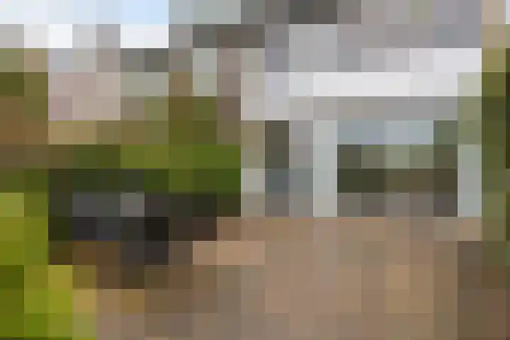 Frans Halsplantsoen 13 Voorschoten thumbnail 29