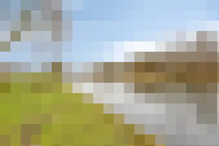 Frans Halsplantsoen 13 Voorschoten thumbnail 32