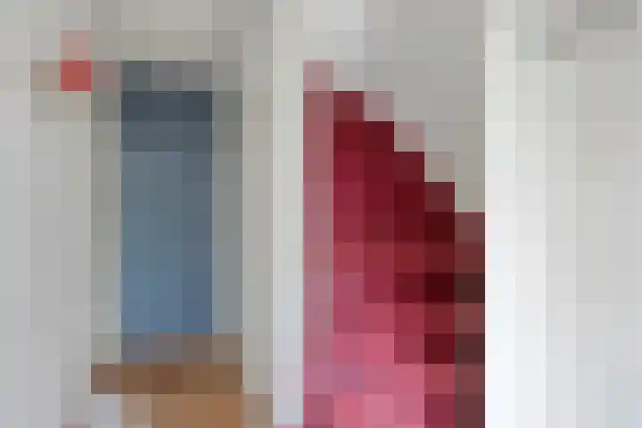 Frans Halsplantsoen 13 Voorschoten thumbnail 4