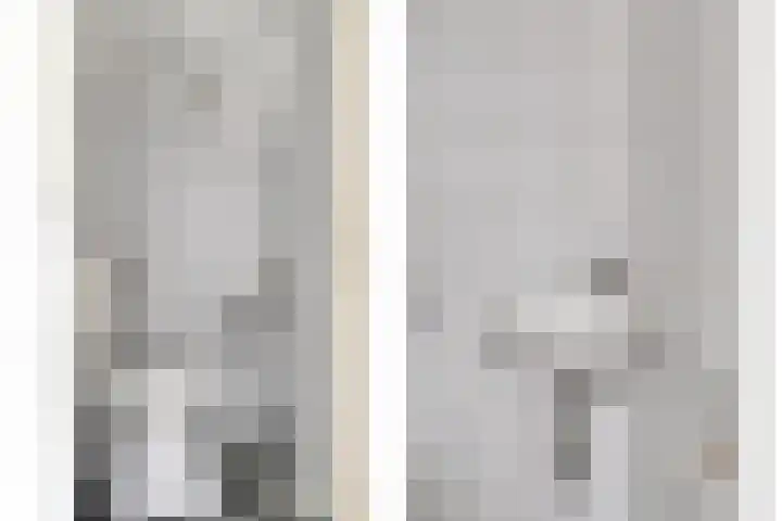Frans Halsplantsoen 13 Voorschoten thumbnail 5