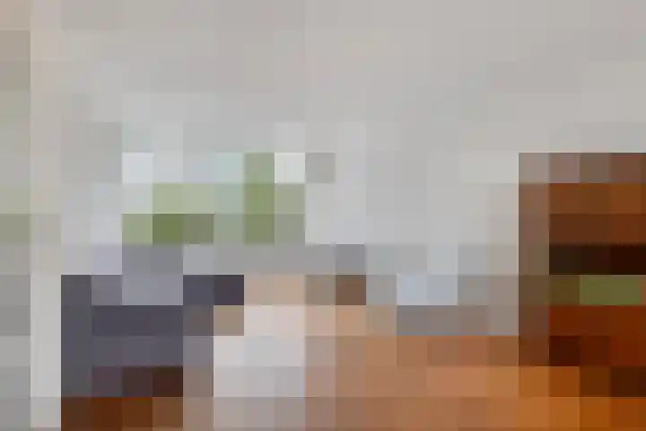 Frans Halsplantsoen 13 Voorschoten thumbnail 7