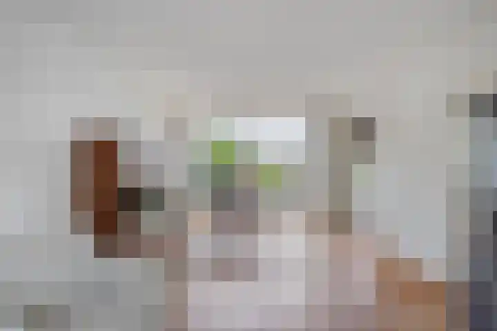 Frans Halsplantsoen 13 Voorschoten thumbnail 8