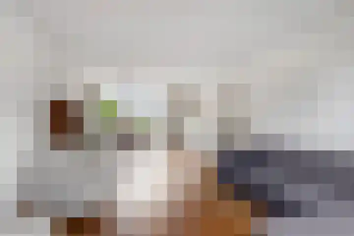 Frans Halsplantsoen 13 Voorschoten thumbnail 9