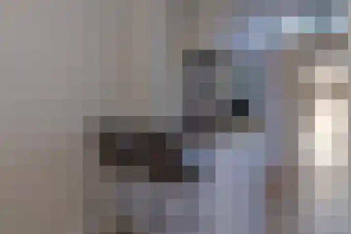 Frans Halsplantsoen 16 Muiderberg thumbnail 14